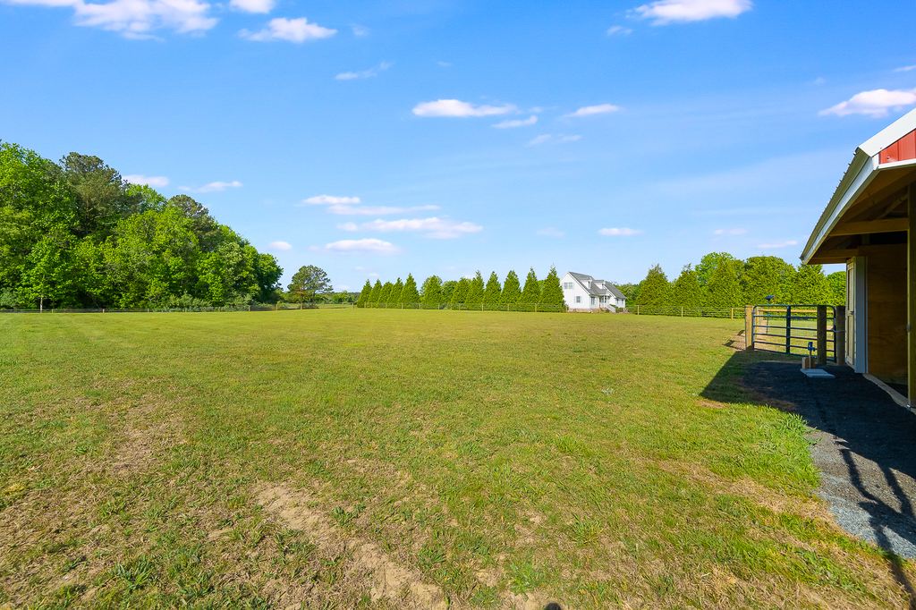 A wonderful and lush property for you and your pets to enjoy.