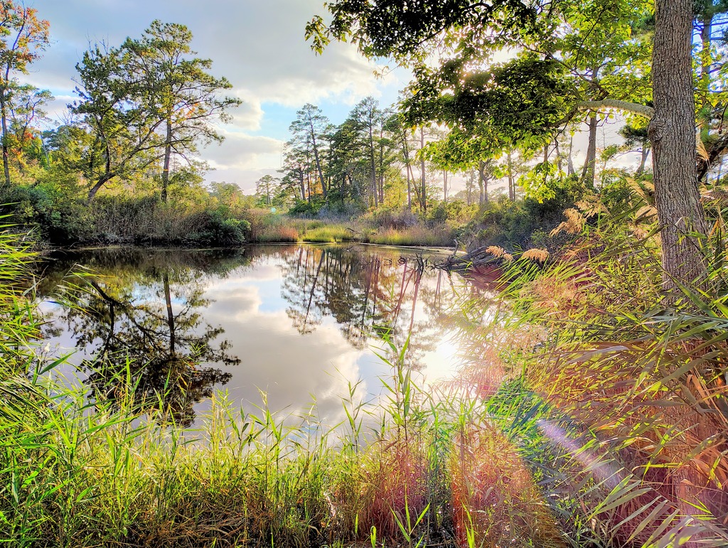 Immerse yourself in nature