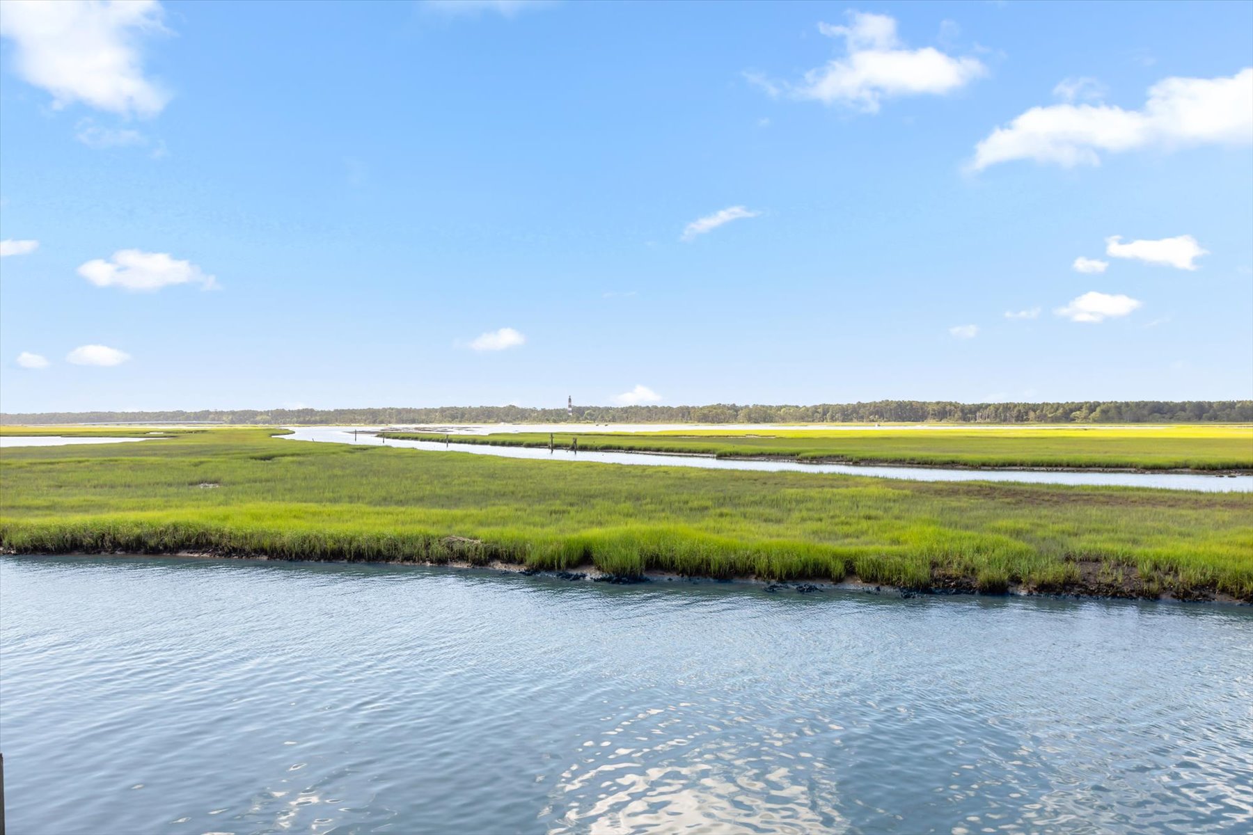 Dolphins, Ponies, Birds, Ducks - the world is your oyster at Belle Vue!