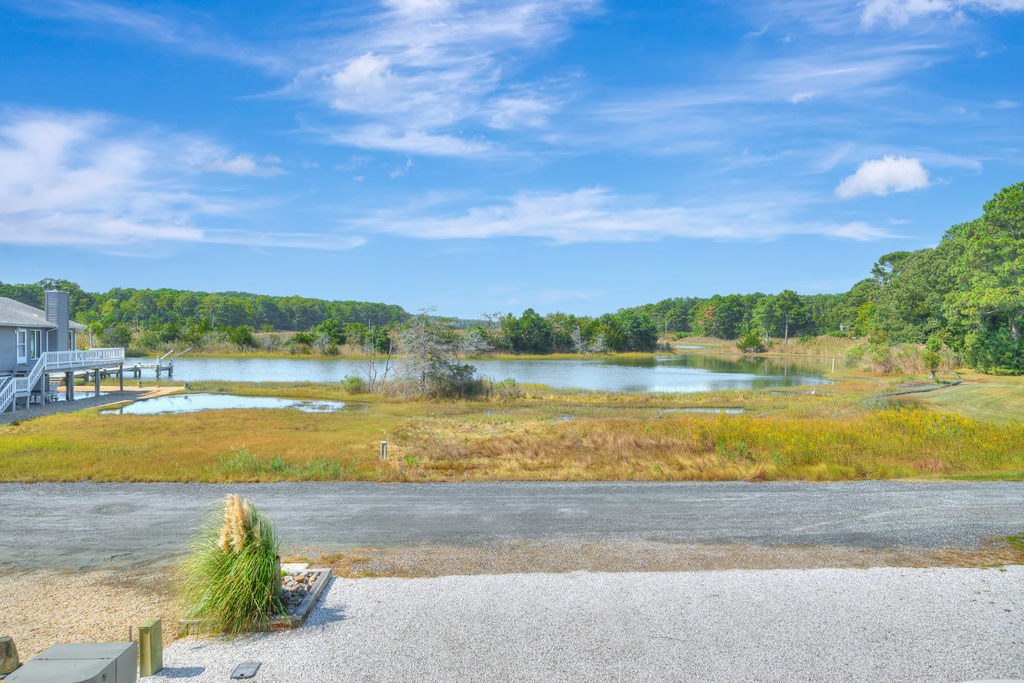 Watch Herons, Eagles, and Egrets fish for their morning meal.