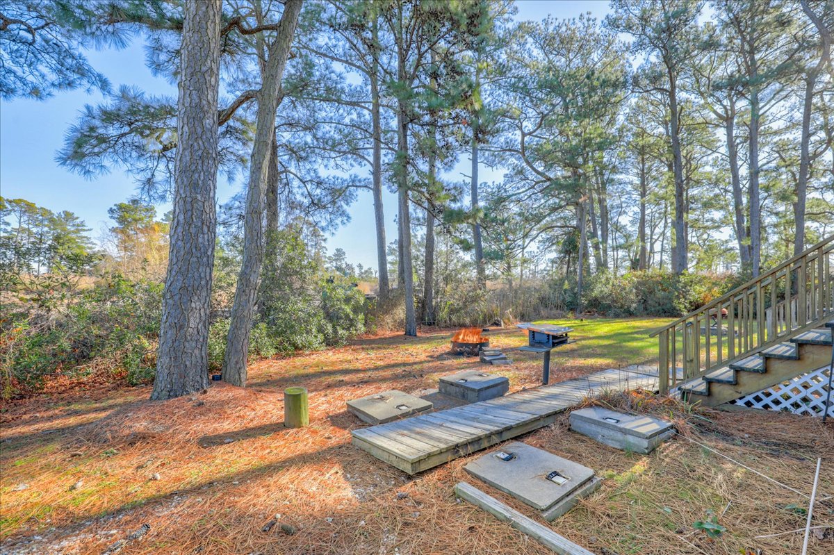 Another View of lovely Shaded Yard.