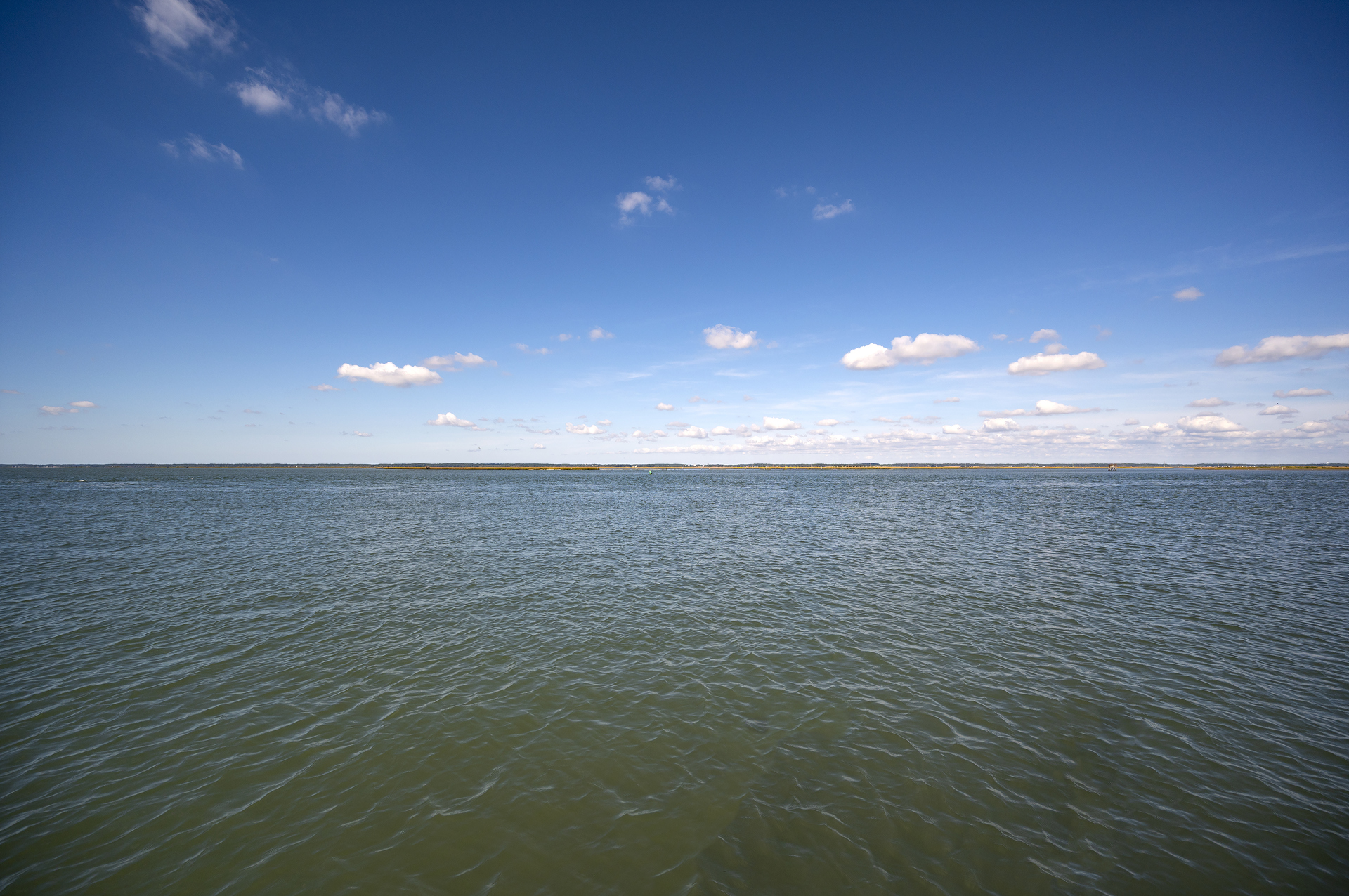 Watch Dolphins, Birds, and Boats peacefully go by....