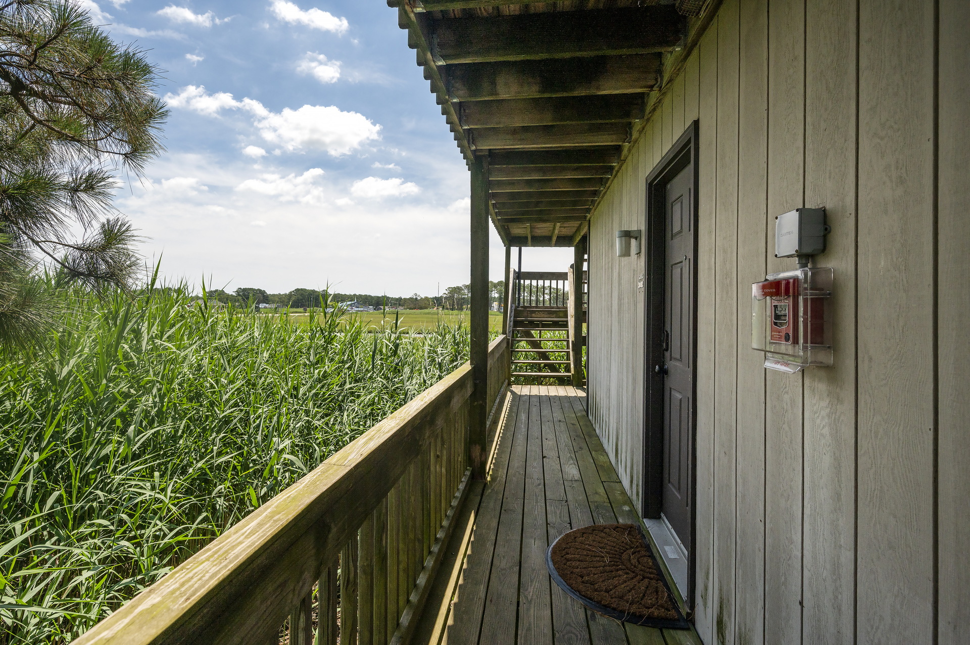 View from Deck just outside the Doors.