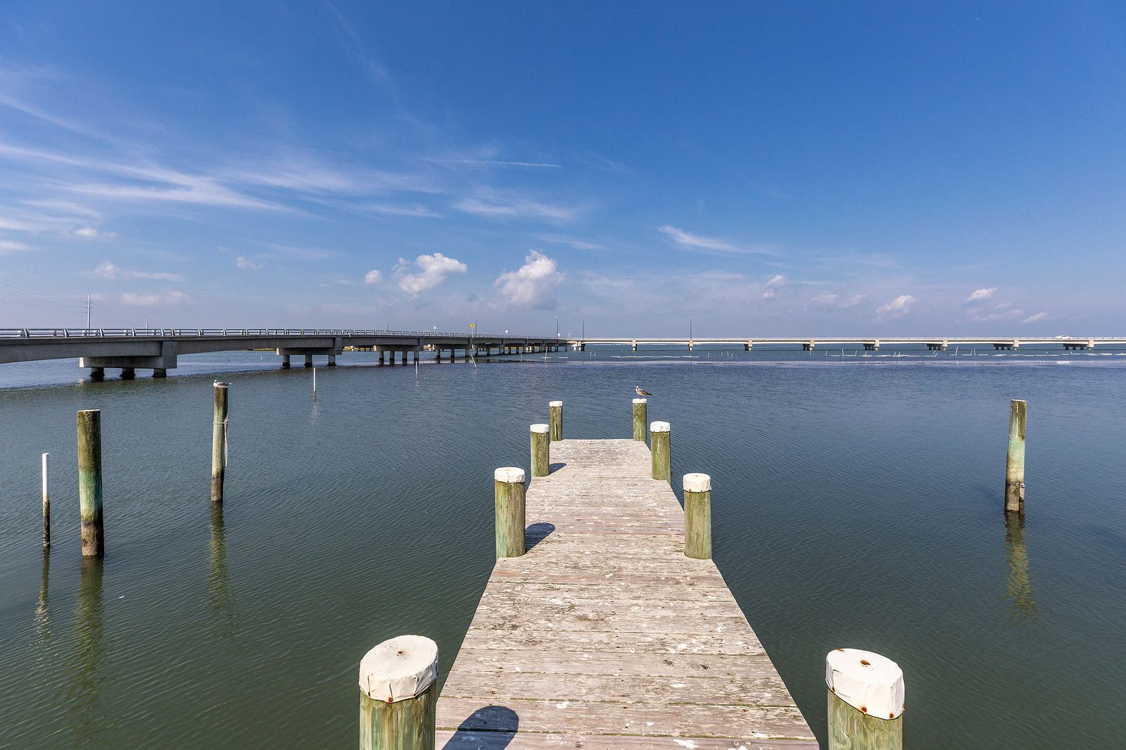 Fish and Crab from the shared Pier.