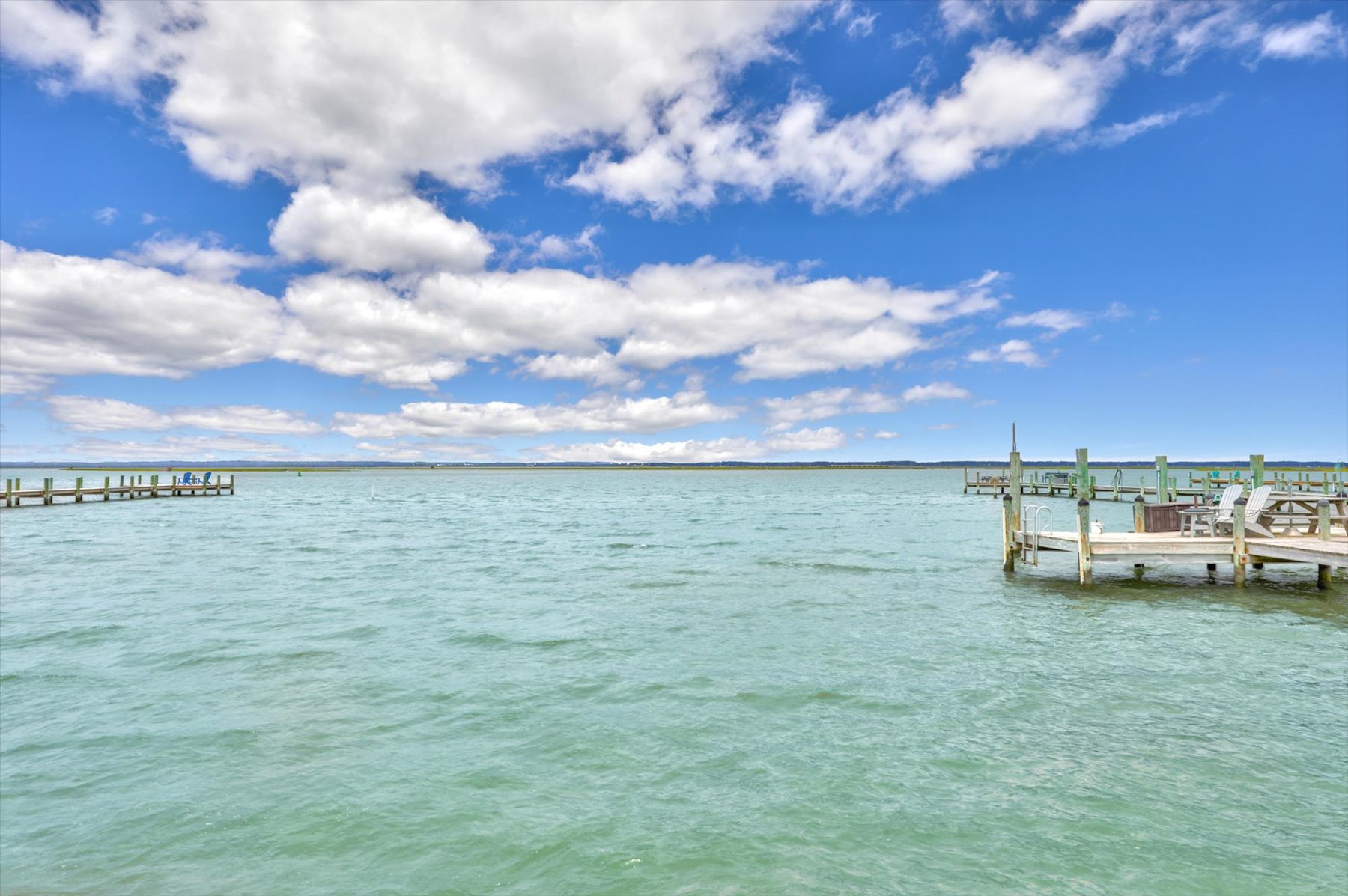 Our pristine Bay is teeming with Life - fish, crabs, clams, and dolphins!