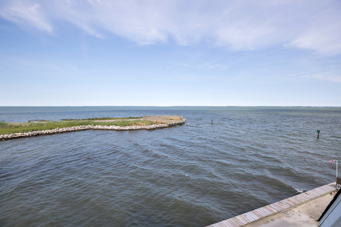 Watch Herons and Egrets fish for their morning meal.