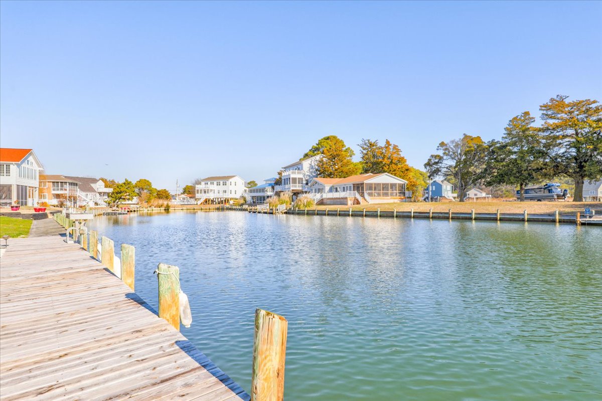 Our Waters are teeming with life - Dolphins, Fish, Crabs, and more!