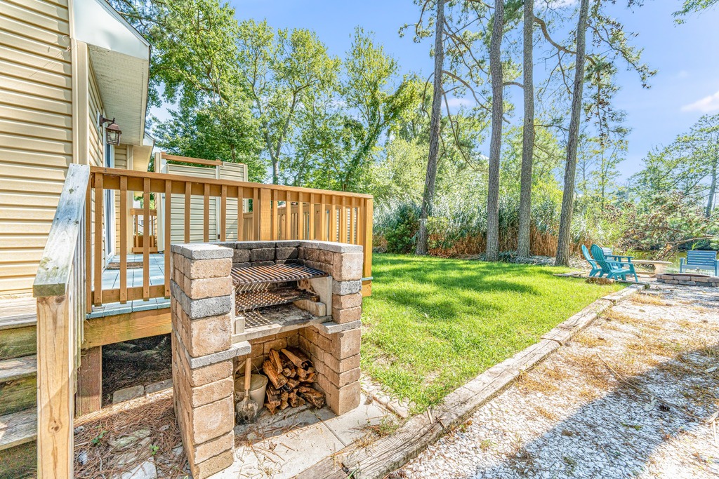 Awesome Stone Grill works with charcoal or wood - YUM!