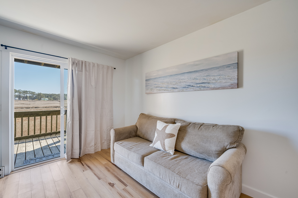 Sleeper Sofa in Living Area.