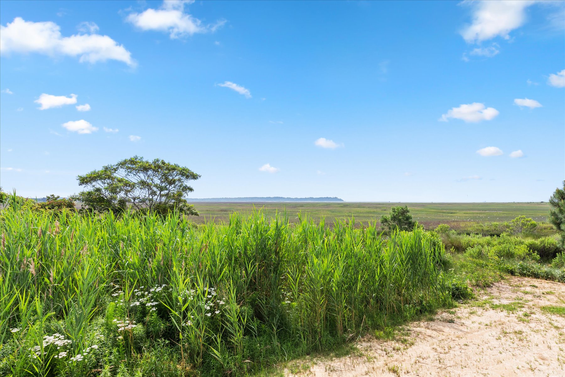 Seas the Moment | Photo 99