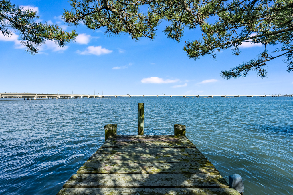 Fish and Crab right from your backyard!