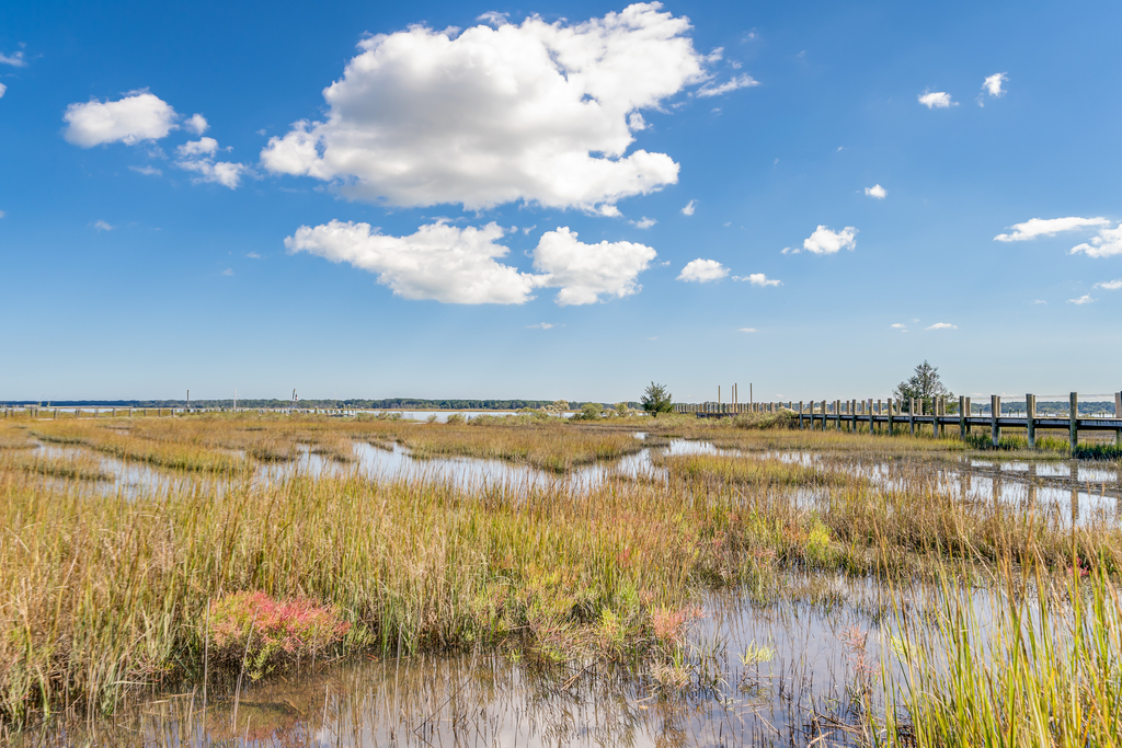 Surround yourself with wonderful wilderness.