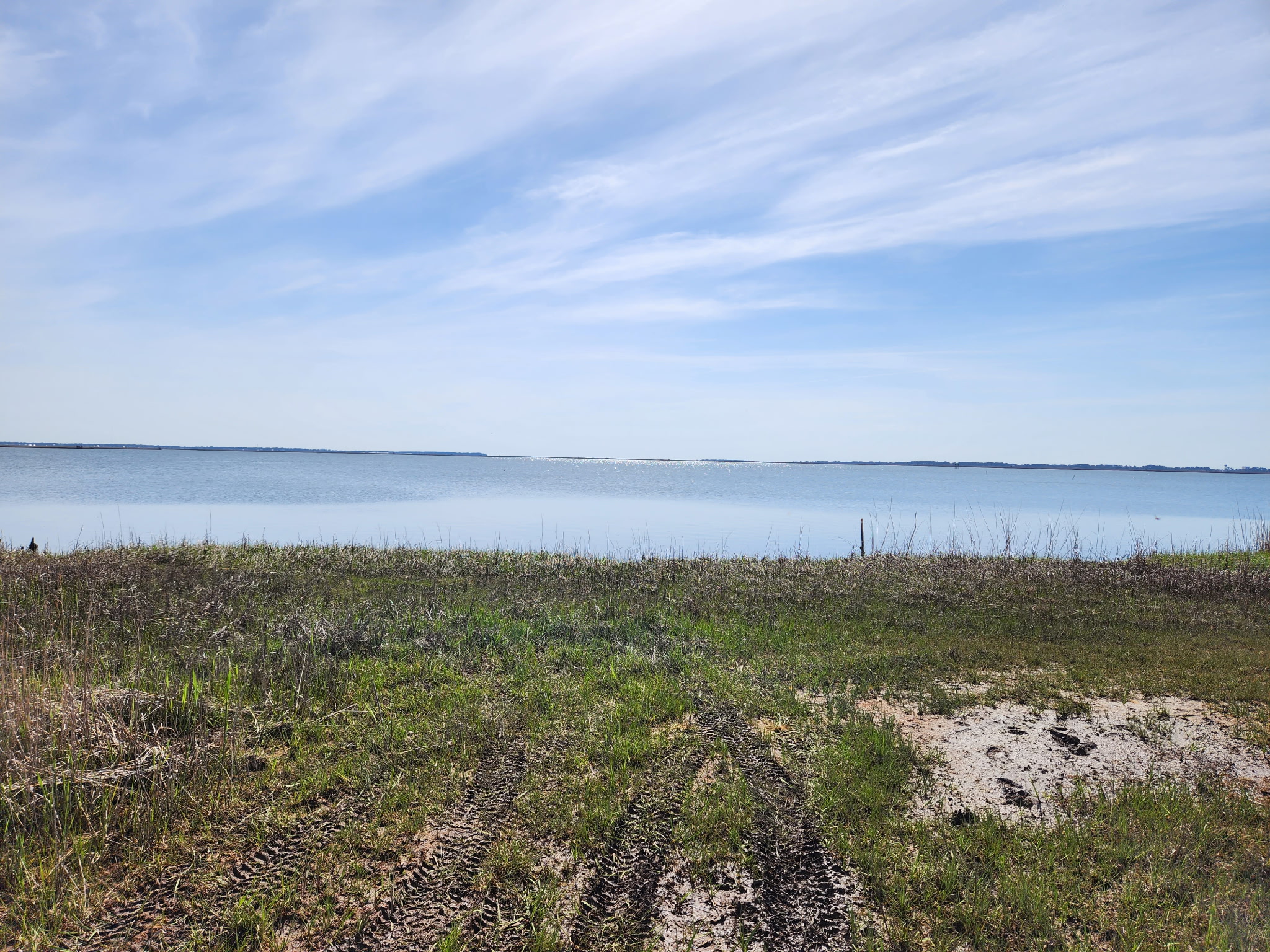 Bring a chair, relax, and watch Herons, Eagles, and Egrets fish for their dinner.