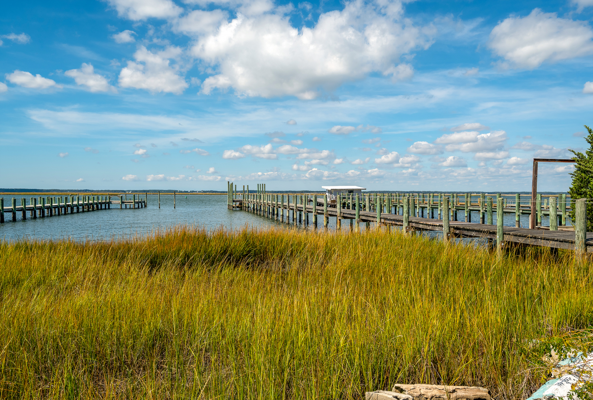 Surrounded by nothing but beauty.