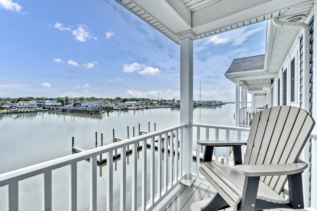 Dolphins visit the Channel routinely during the Summer months!