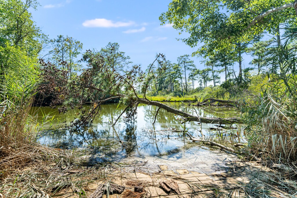 Utter East backs to a serene Pond, just teeming with wildlife!