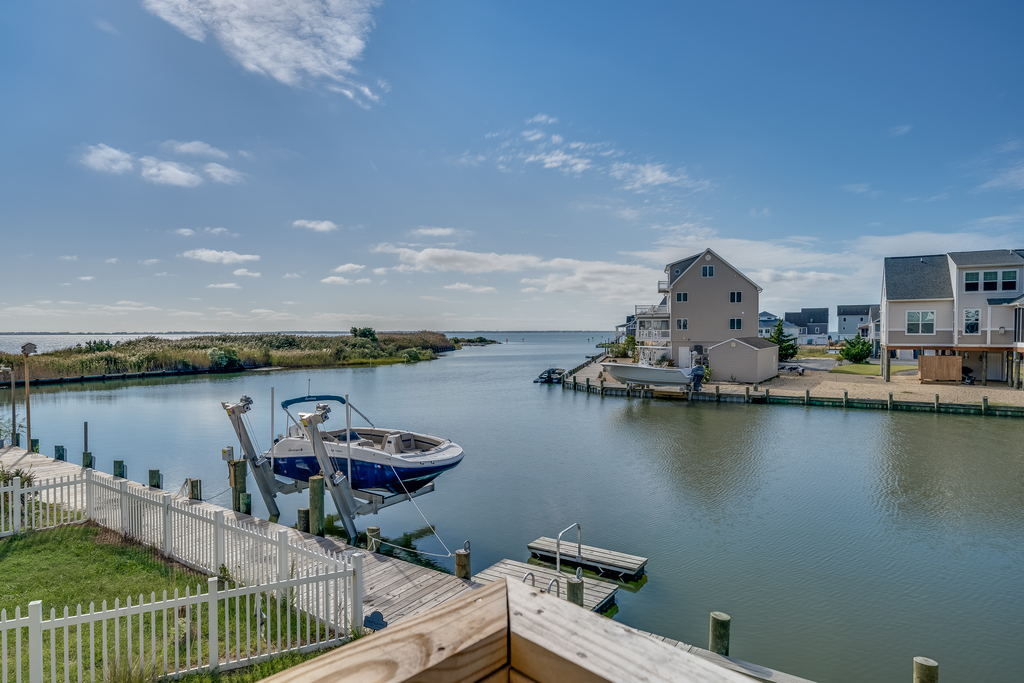 Fish and Crab - right in your own backyard!