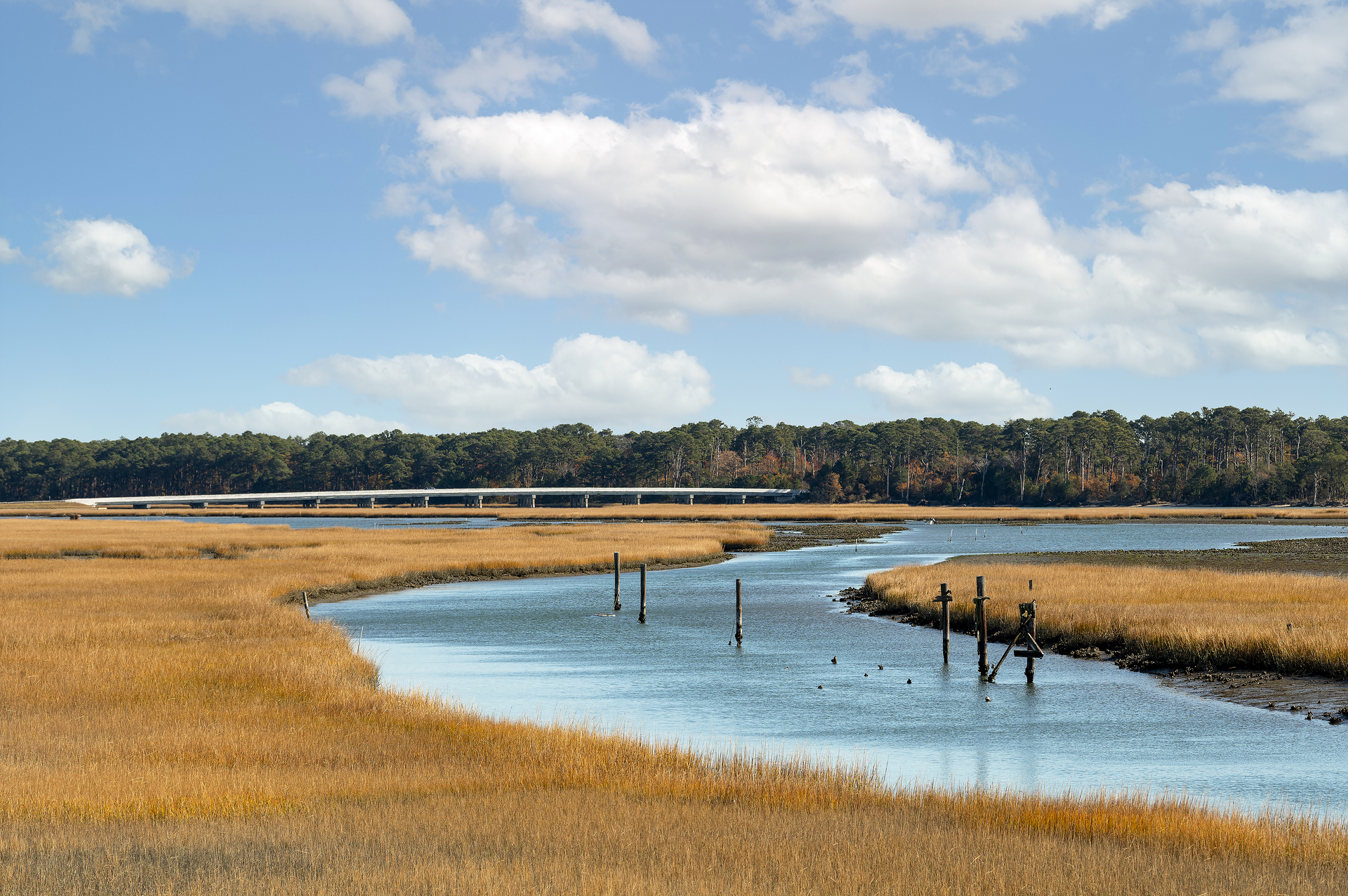 Looking from the Condo, you can see the bridge leading to the Chincoteague Wildlife Refuge, and Assateague National Seashore.