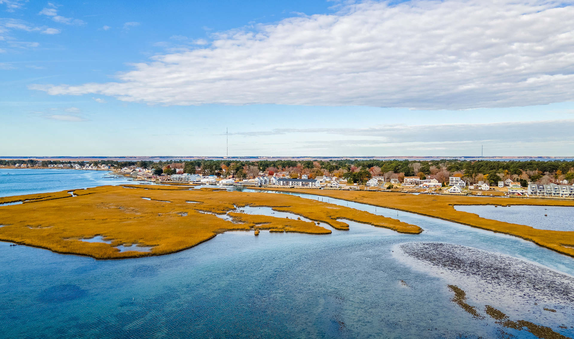 Pure Paradise right here on Chincoteague Island.
