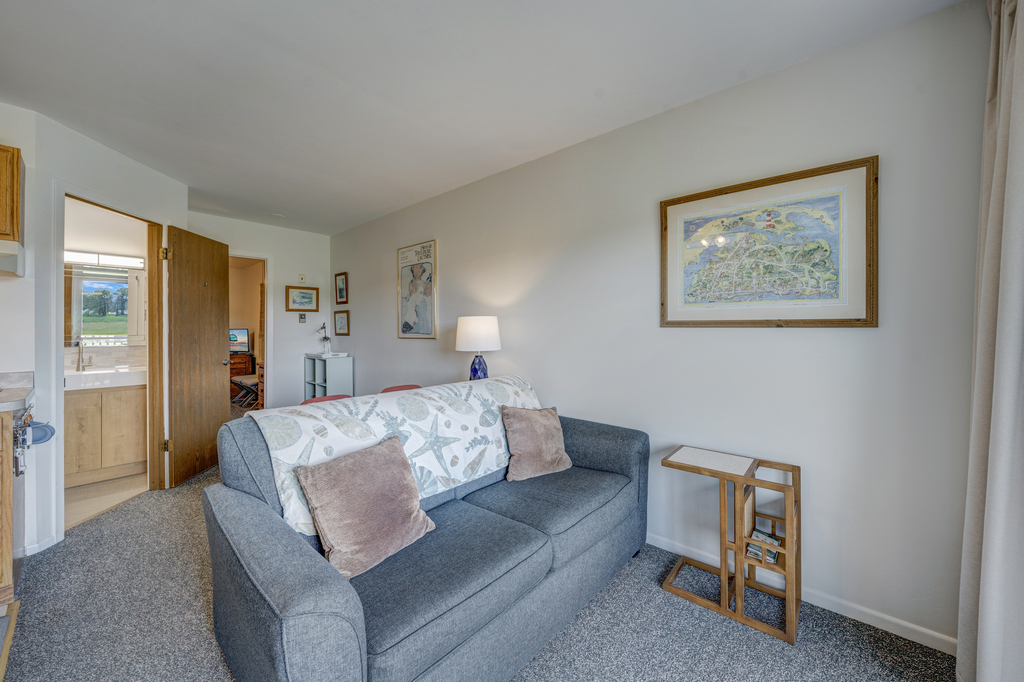 Sleeper Sofa in the Living Area.