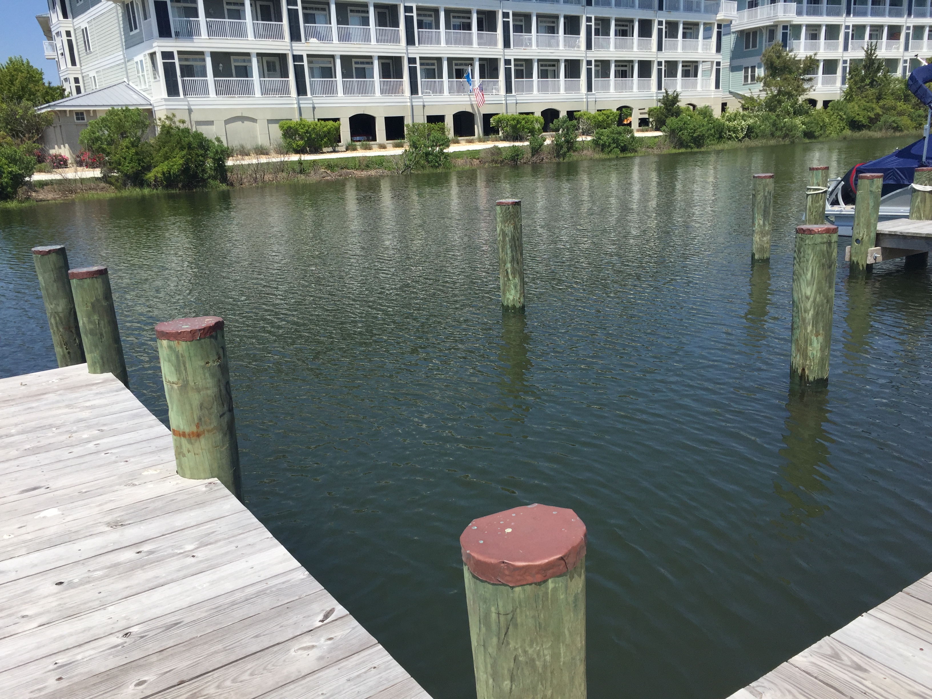 Family beach vacation is truly re-defined at Broad Marsh 111C!