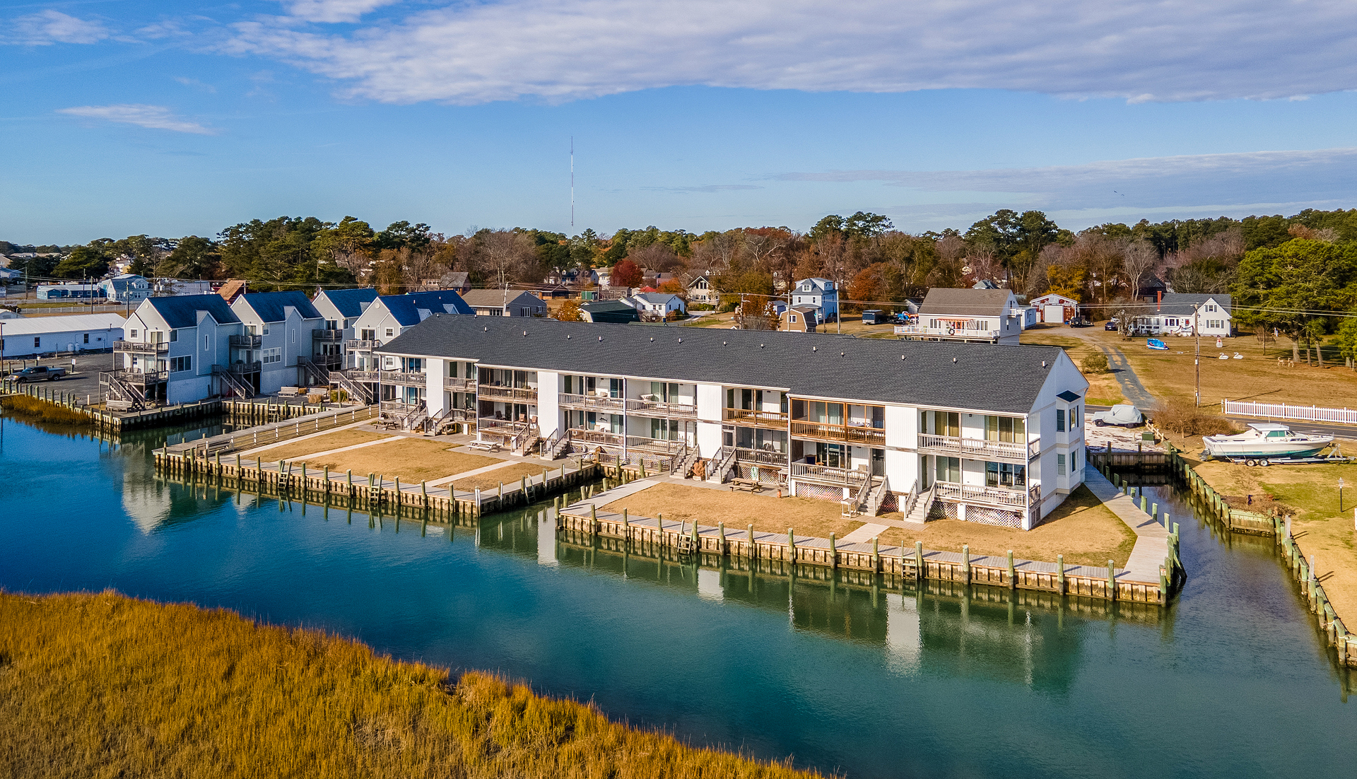 So much beauty right here in our own backyard.