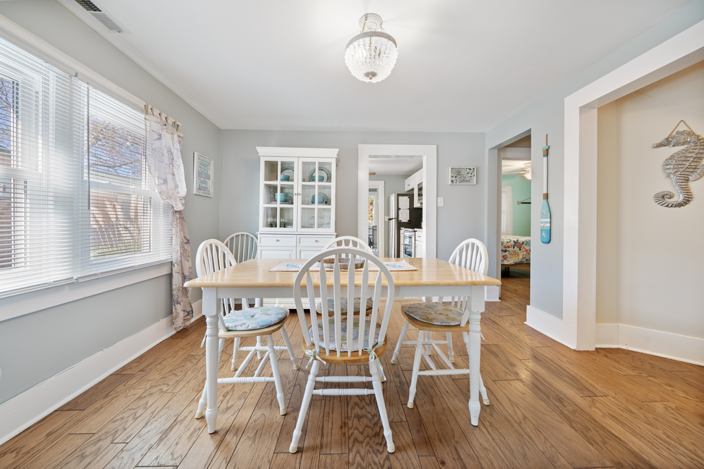 The Shell Hunter | Photo 15