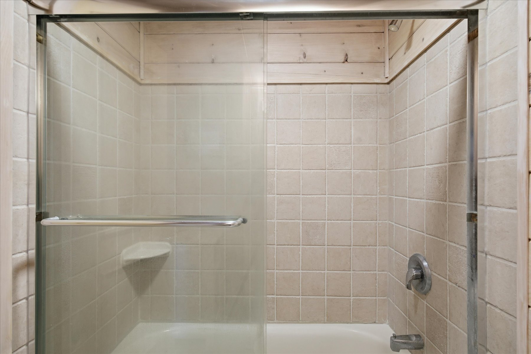 Shower/Tub combo