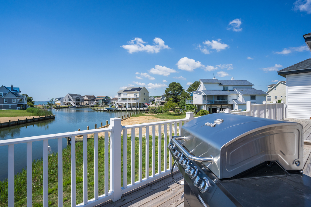 Grill the Fresh Catch of the Day on the Gas Grill, which hopefully you caught.