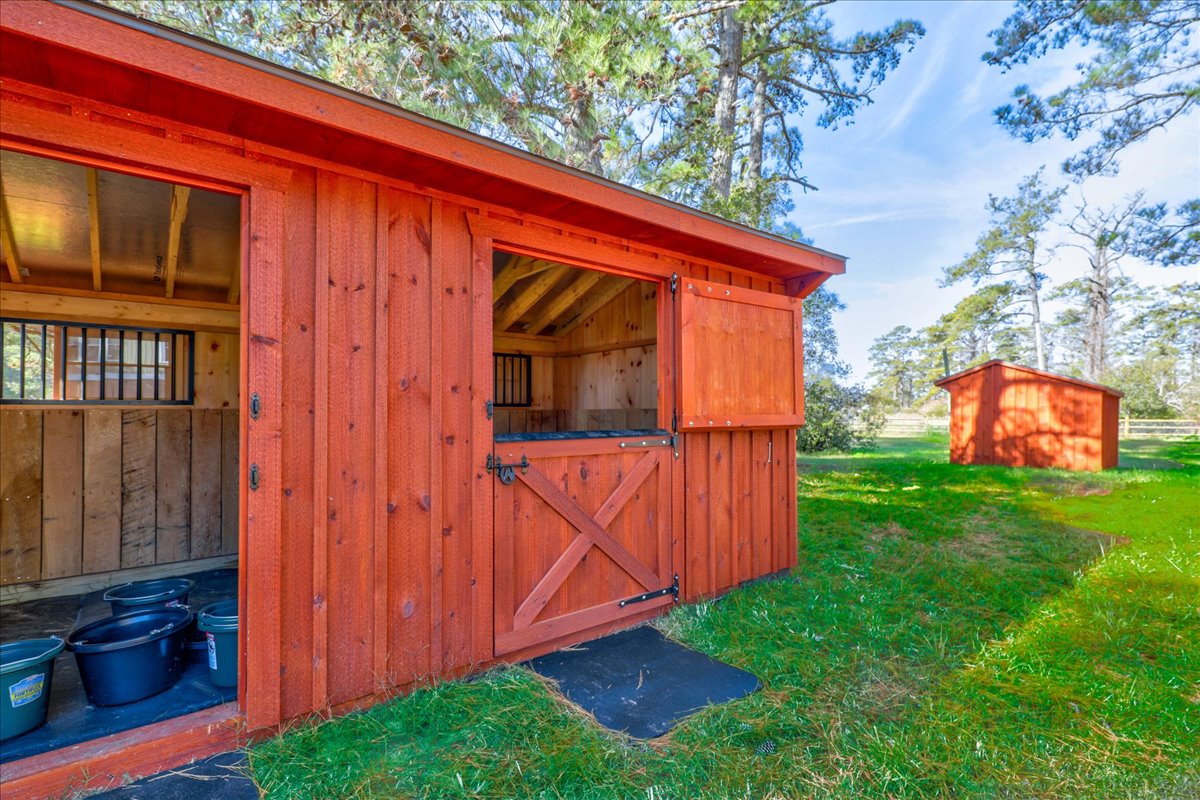 Seahorse Shanty | Photo 51