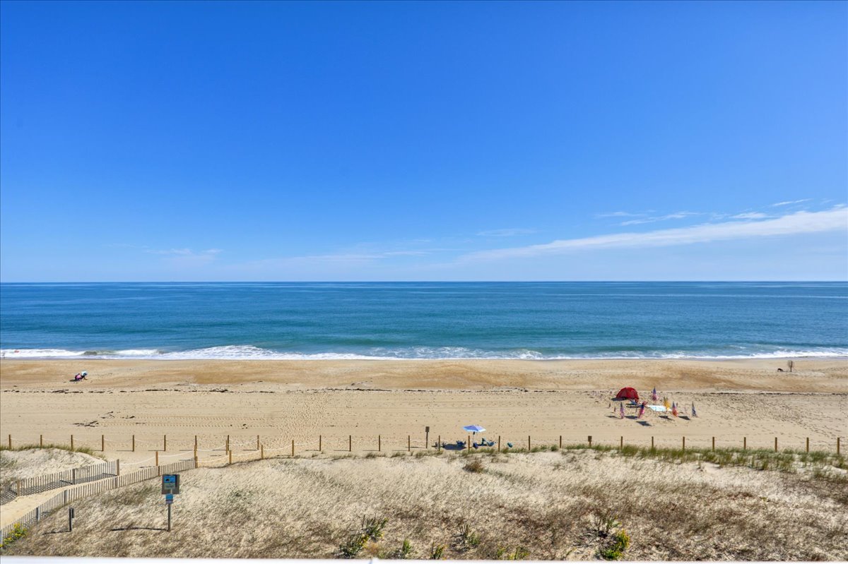 Wild and free, just like the sea.