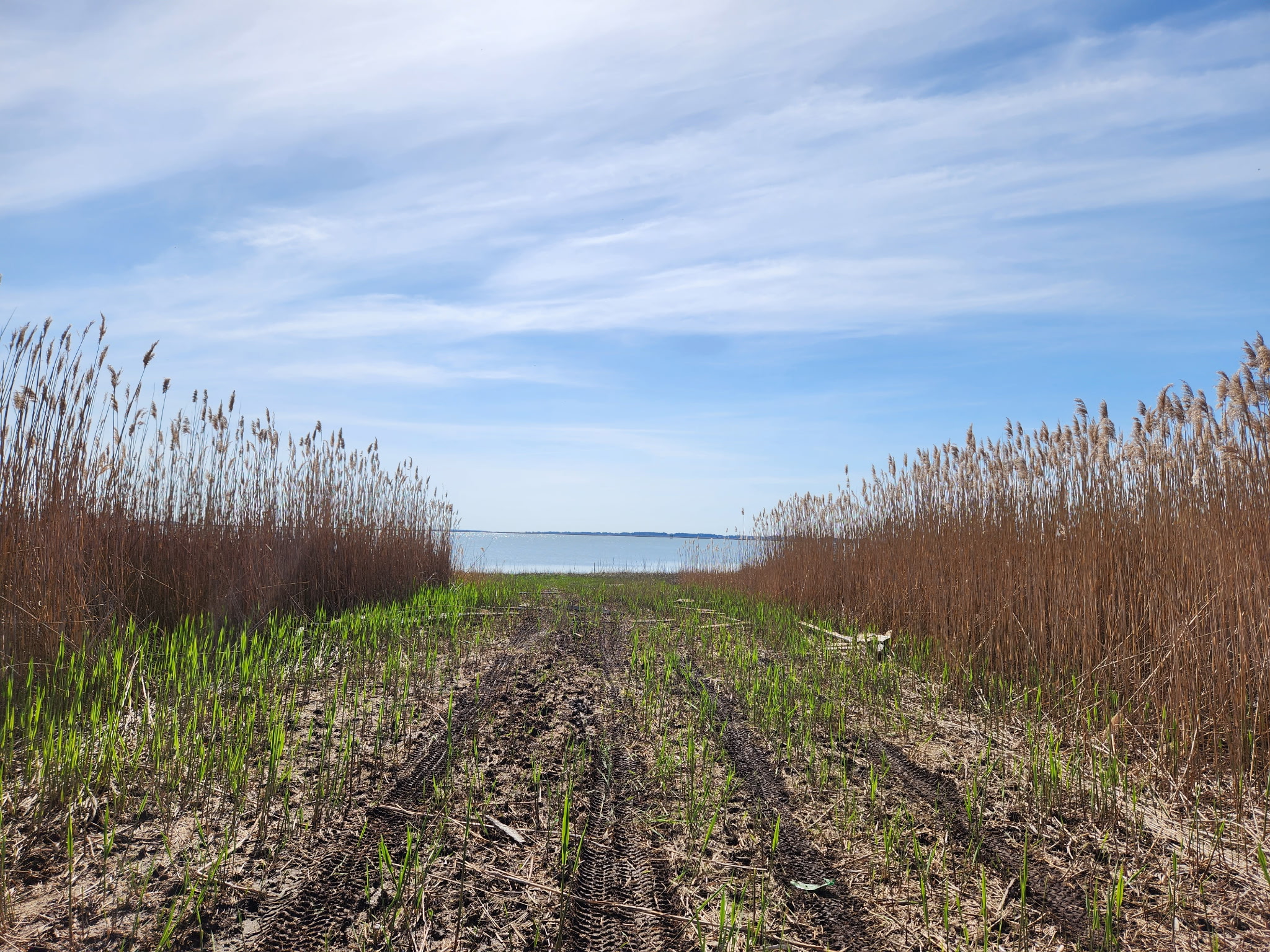 Wander down the street to where the land meets the Chincoteague Bay.