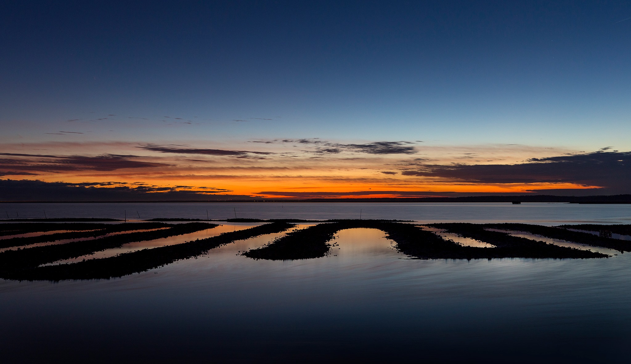 Just 20 minutes to Chincoteague Island - home of our famous Oysters!