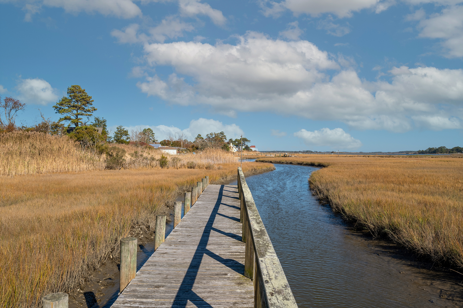 Kick back and take in that salty, sweet sea breeze.....