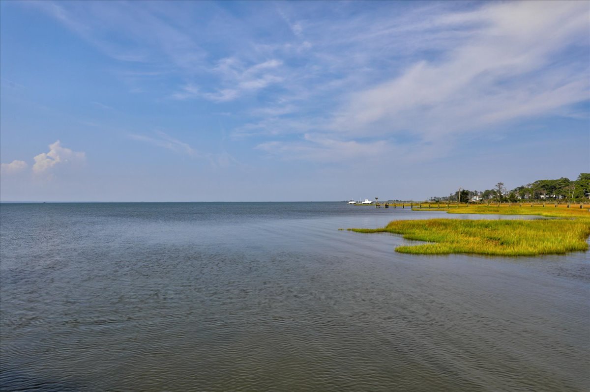 Beauty in every direction.....