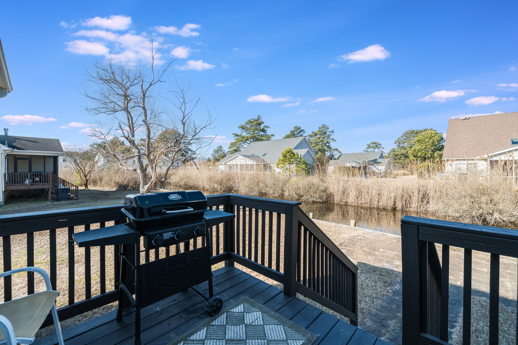 Grill the Fresh Catch of the Day on the Gas Grill.