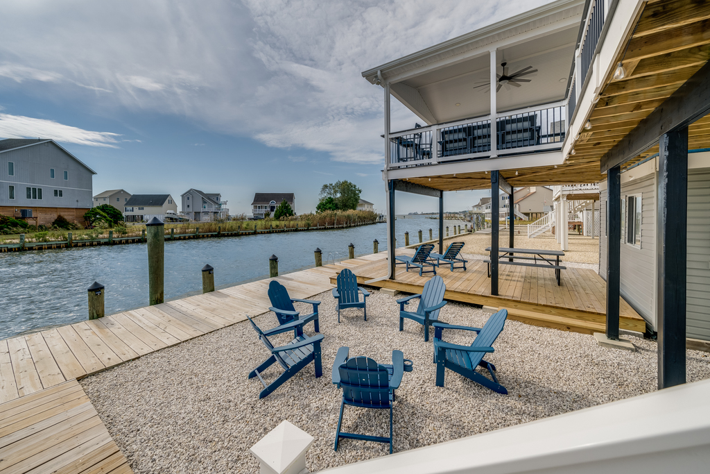 Dolphins are even seen in our Canals during the warmer months!