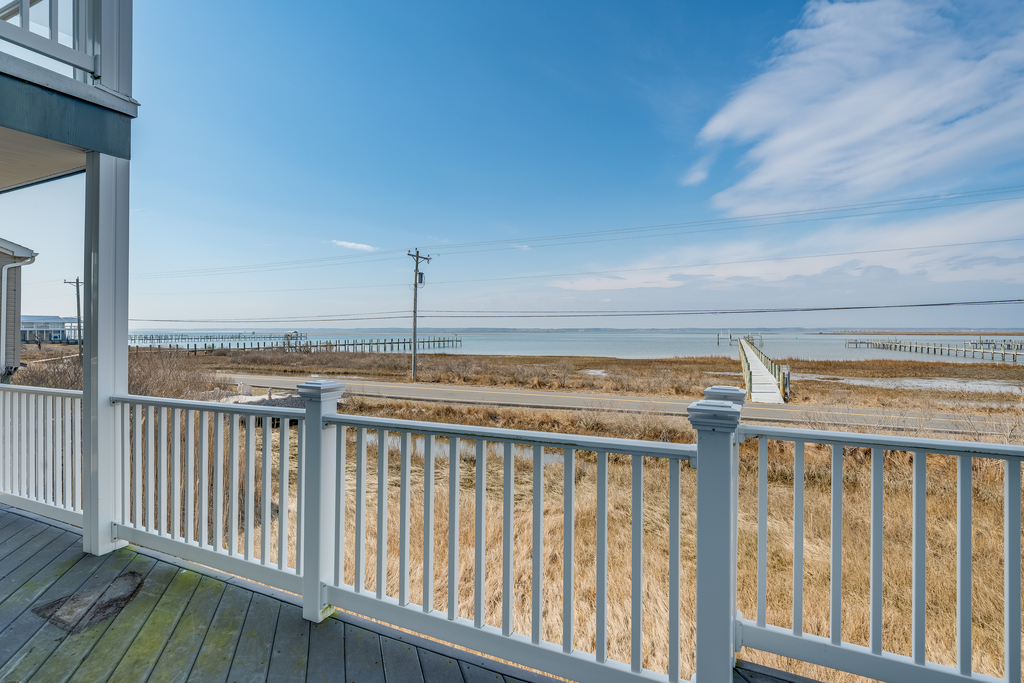 Watch Herons, Eagles, and Egrets fish for their morning meal.