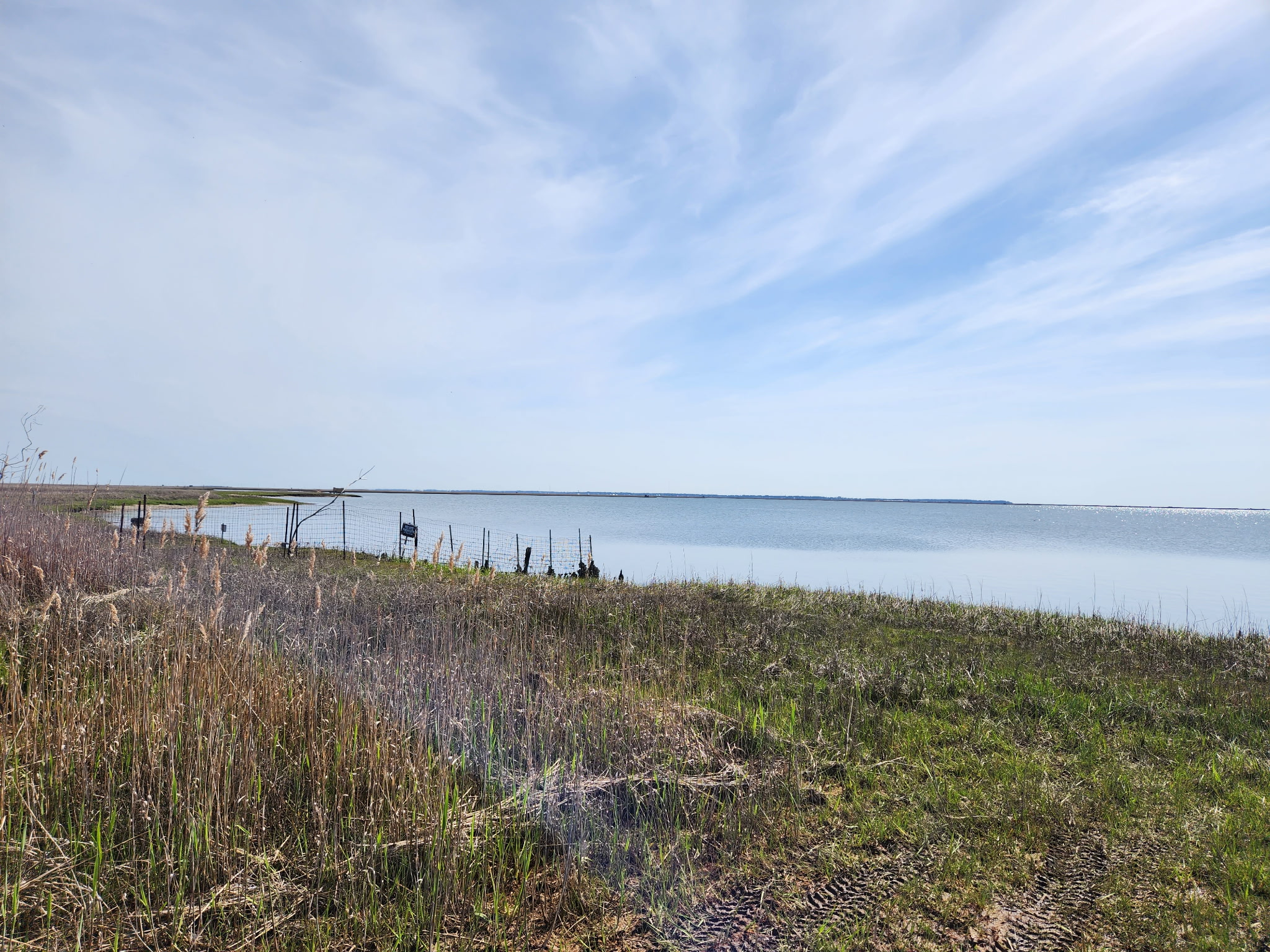 Take in gorgeous Bay Views, and incredible Rocket Launches!