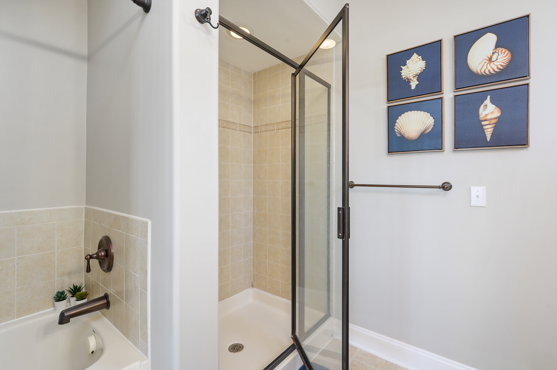 Custom Walk-in Shower.