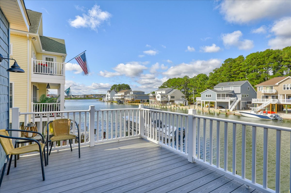 Coastal Crab | Photo 26