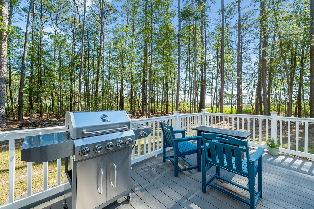 Watch Herons, Eagles, and Deer in the serene yard in this very quiet section of the Cove.
