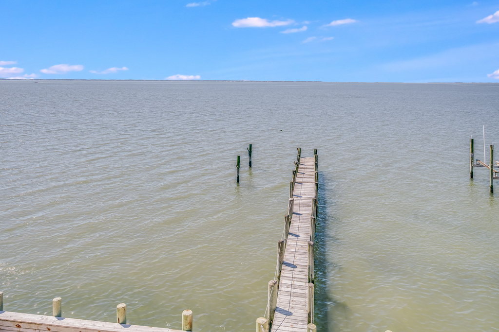 Catch small Sand Sharks right from your dock at night.