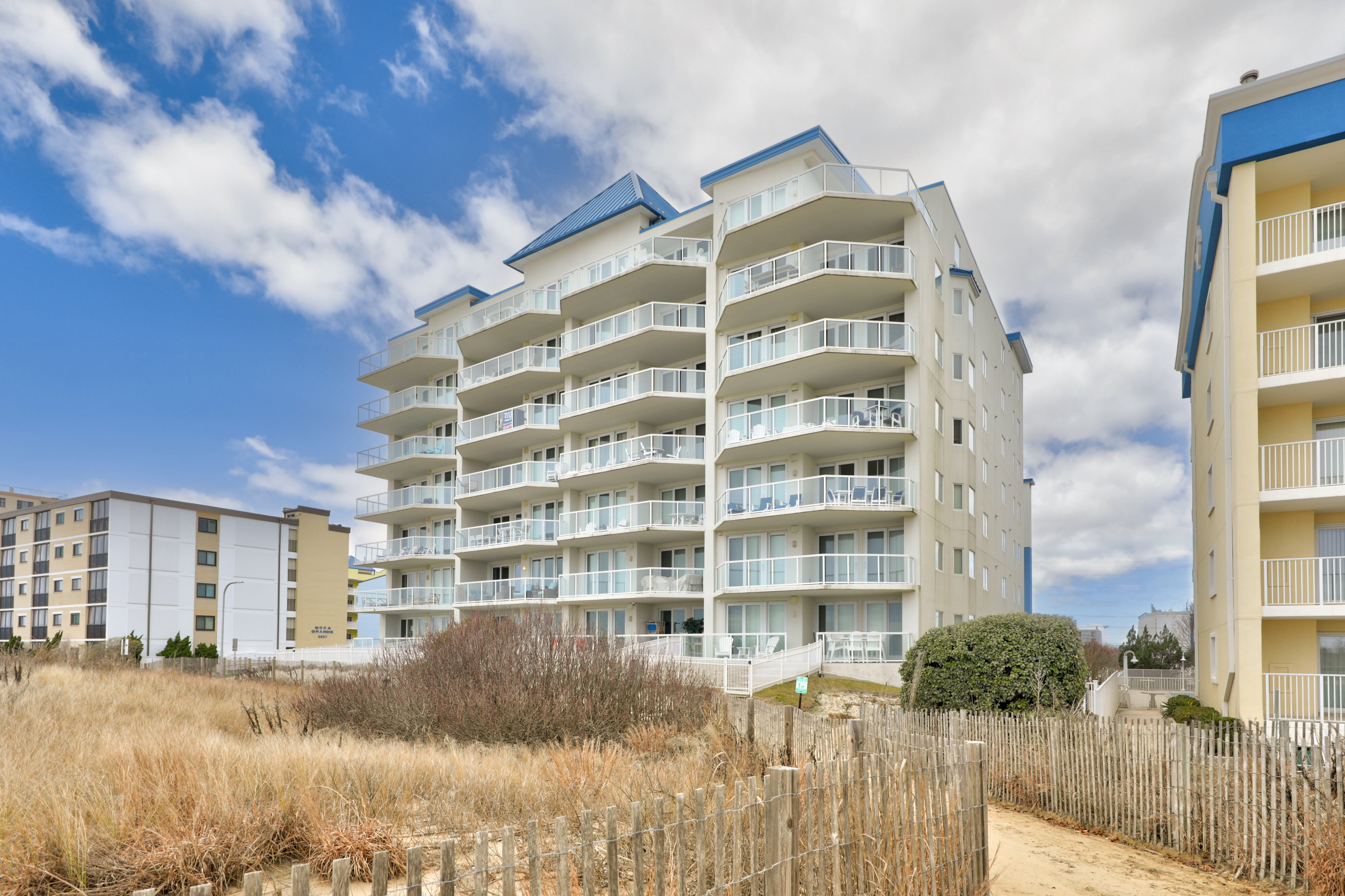 Meridian 203E - Happiness comes in Waves!