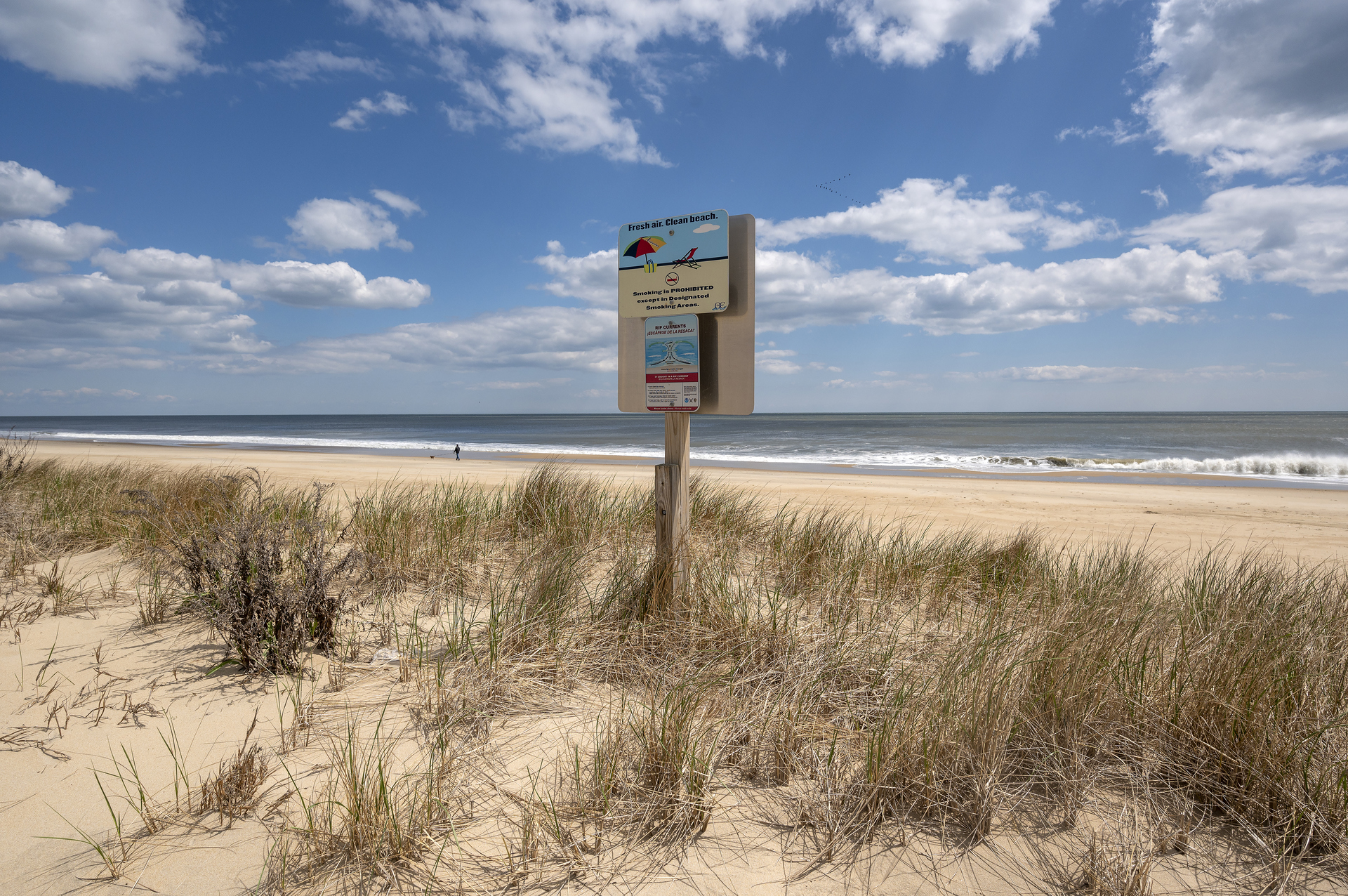 Covington Towers 202 - Leave only your Footprints but take memories to last a lifetime!