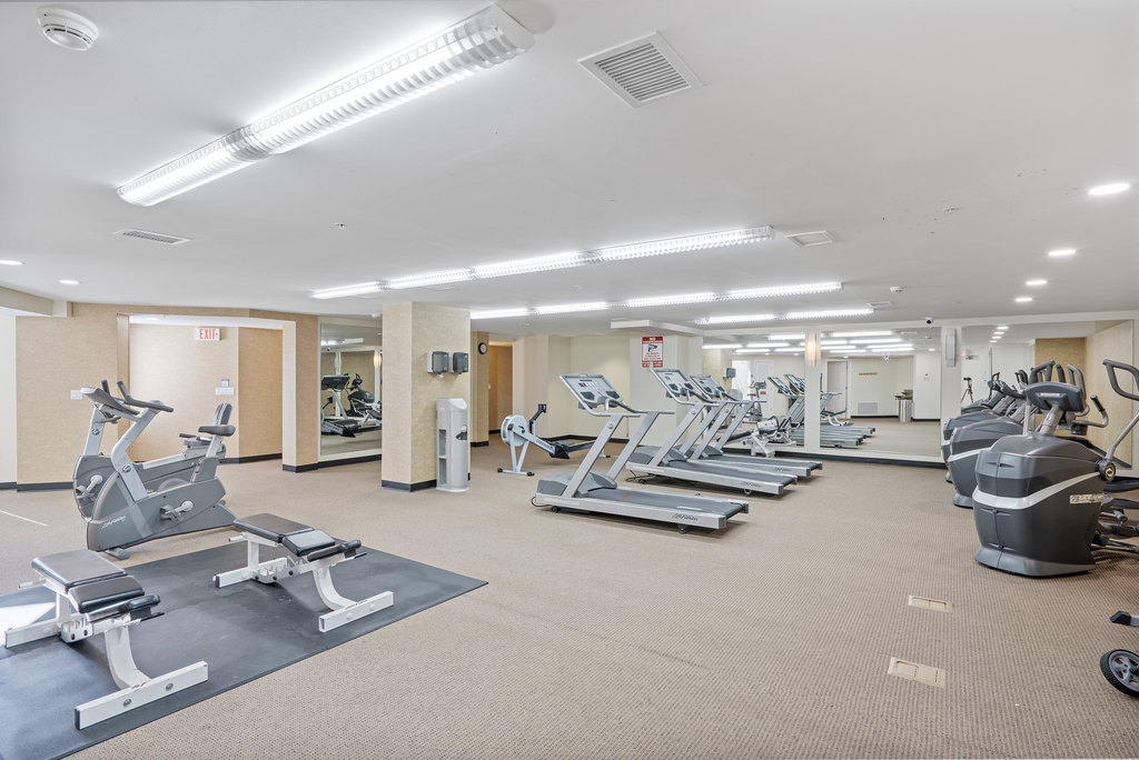 Everything you need for a good workout