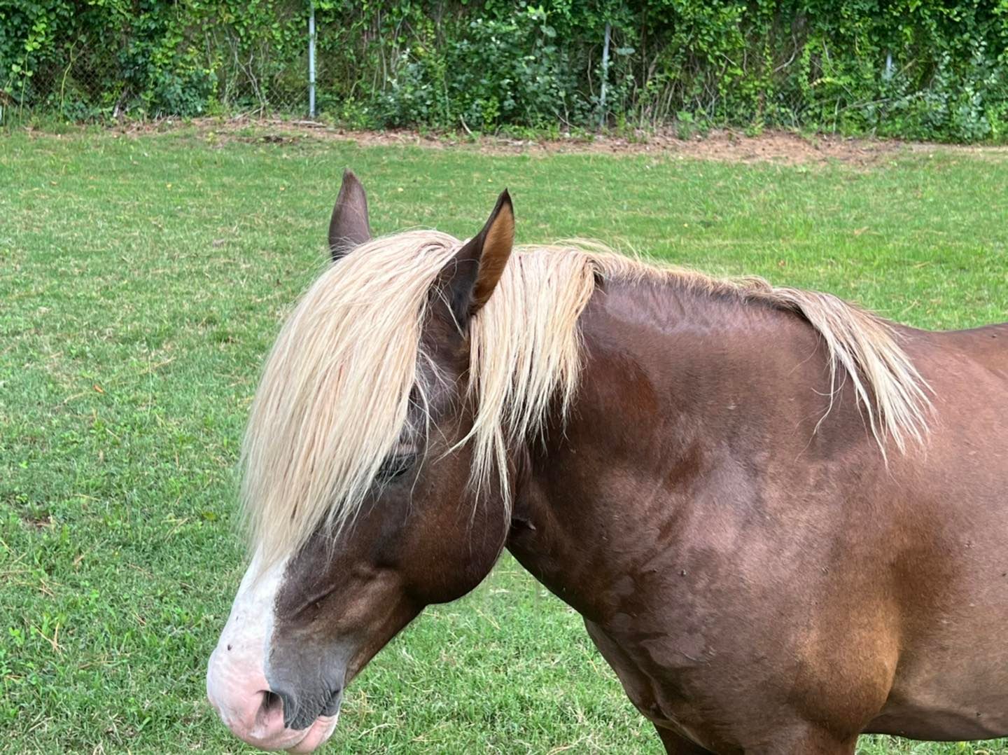 Riptide was hanging out just across the street during this photo shoot!