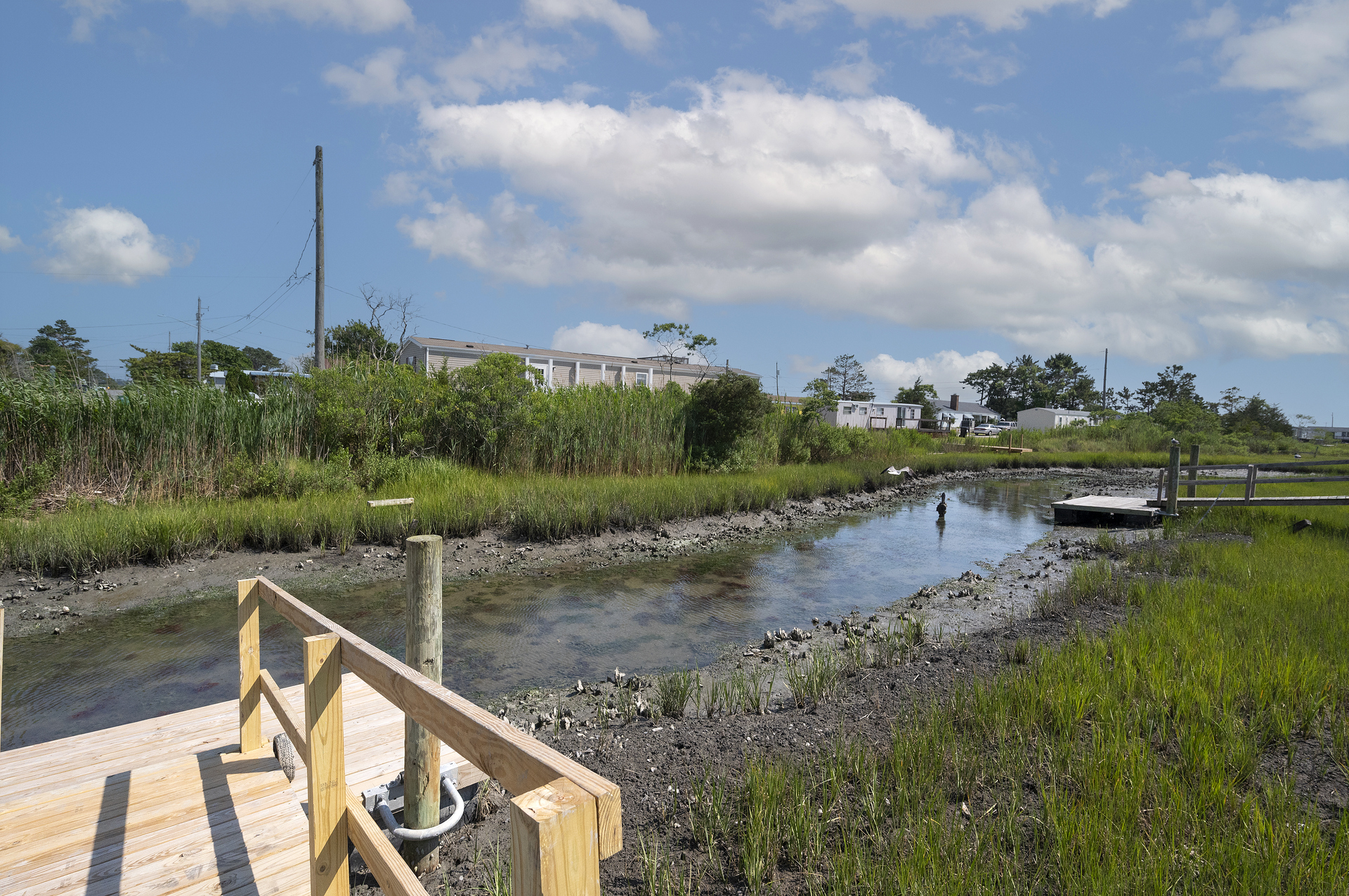 Floating Dock at low tide - so much to explore!
