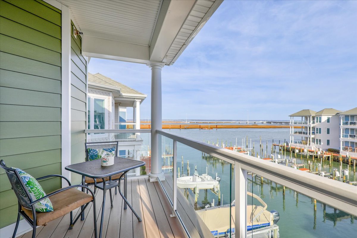 Watch Herons, Eagles, and Egrets fish for their morning meal.