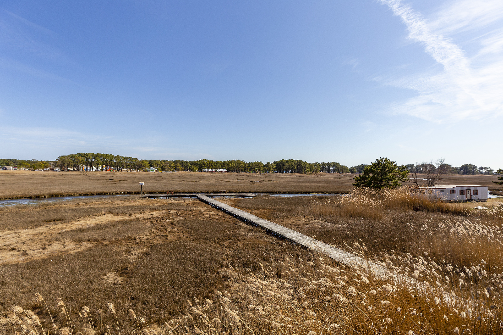 Surrounded by Natural Beauty.